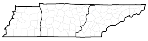 Tennessee and Grand Divisions